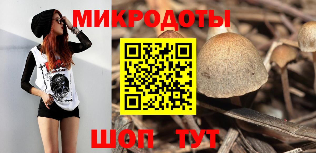 Урюпинск  Псилоцибиновые грибы Psilocybine cubensis  Вход с VPN 